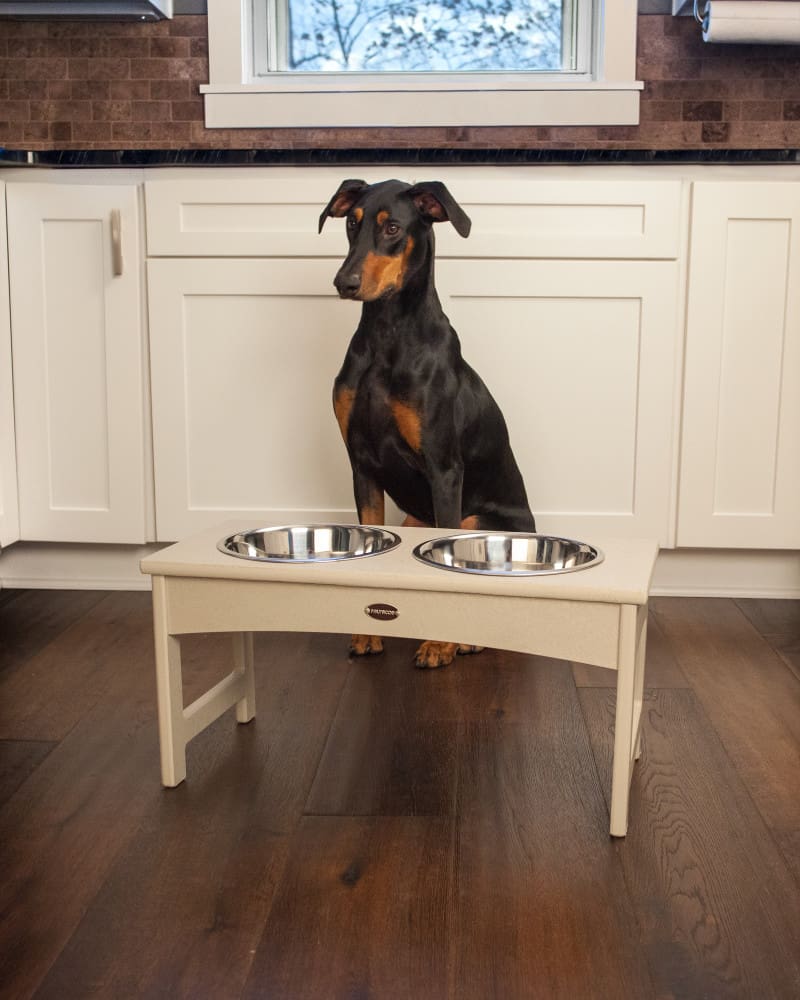 Pet Feeder - Image 3